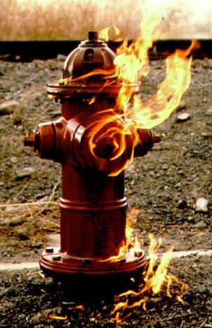 rofl.wheresthebeef.co.uk-Fire Hydrant.jpg